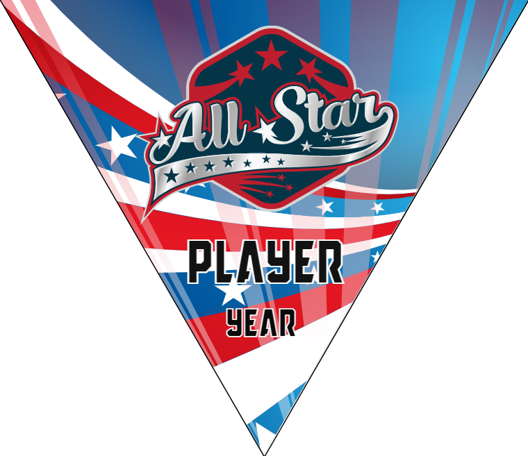 All-Star 2 - Triangle Baseball Banners – Team Sport Banners