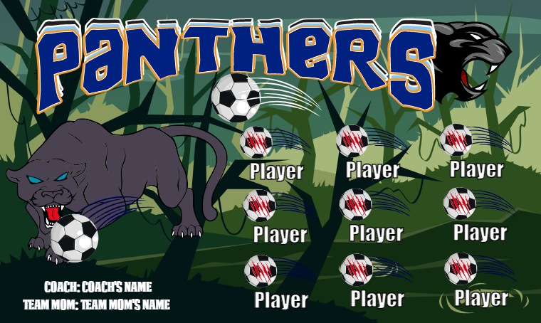 Panthers - Soccer Banner