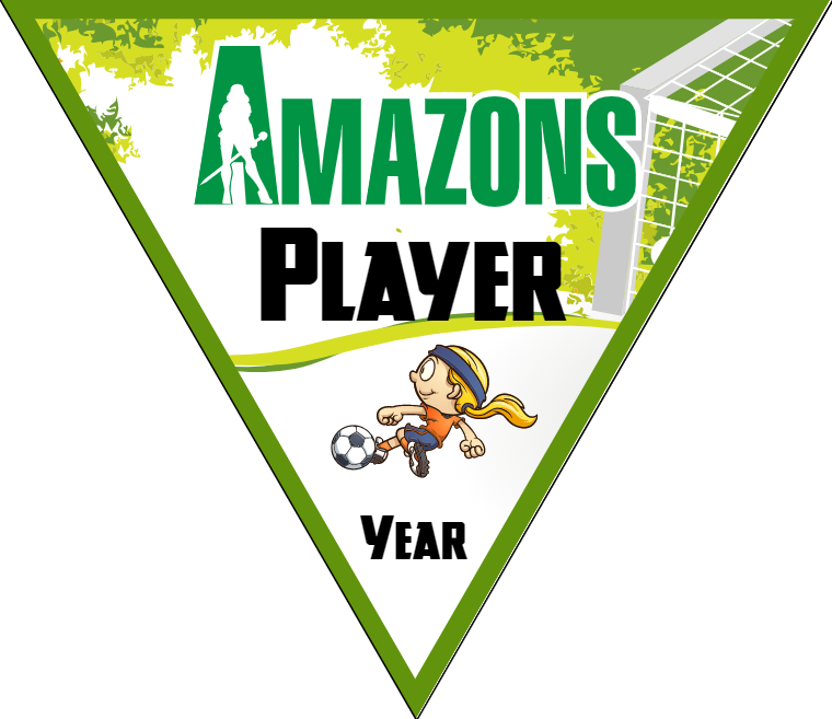Amazons  - Triangle Soccer Banners