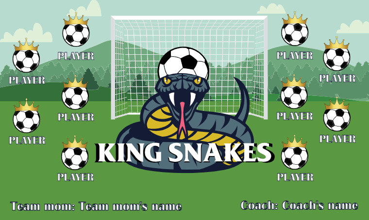 King Snakes - Soccer Banner