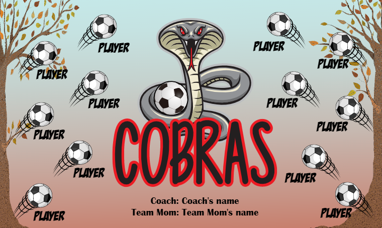 Cobras - Soccer Banner