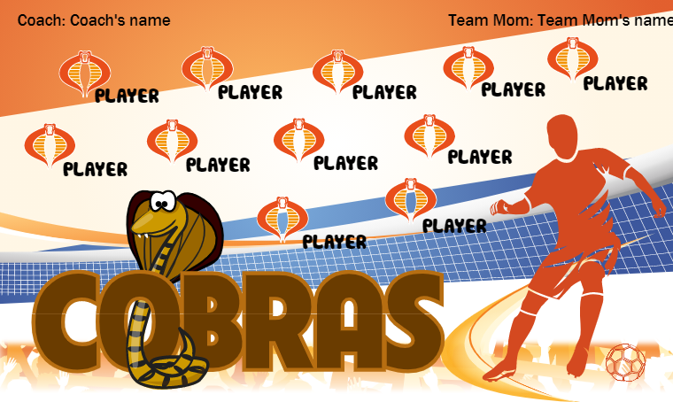 Cobras 2 - Soccer Banner