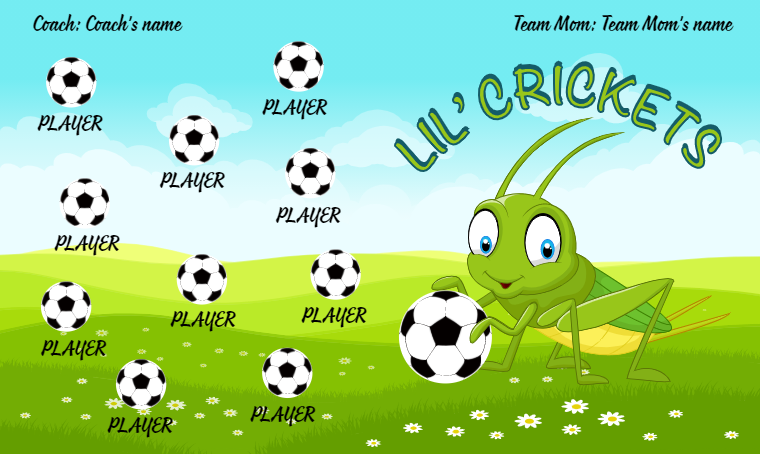 Lil' Crickets - Soccer Banner