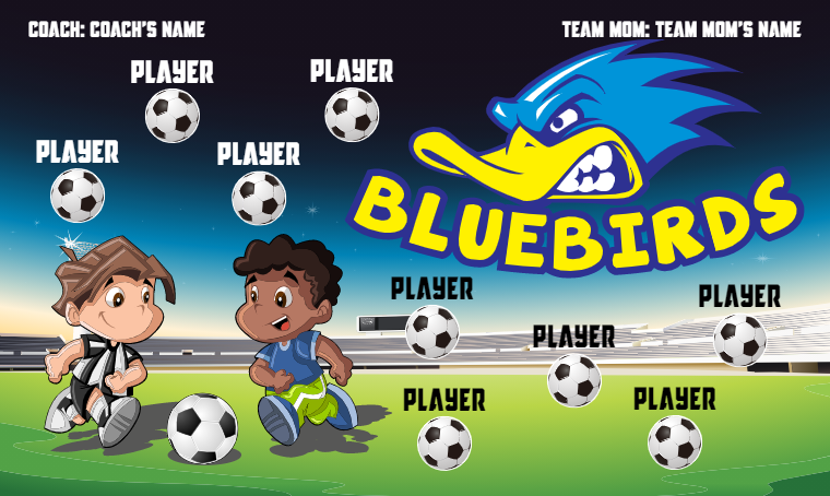 Blue Birds - Soccer Banner