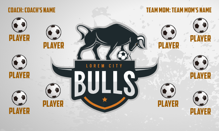 Bulls - Soccer Banner