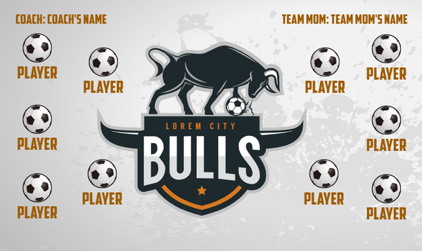 Bulls - Soccer Banner