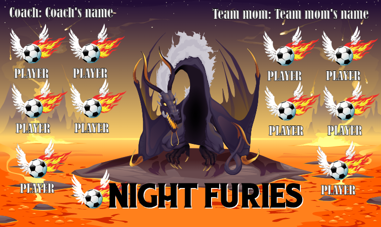 Night Furies - Soccer Banner