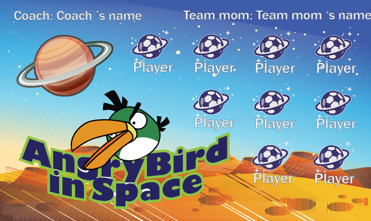 Angry Bird In Space - Soccer Banner