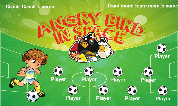 Angry Bird In Space 2 - Soccer Banner