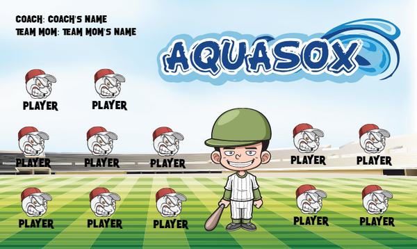 Aquasox - Softball Banner