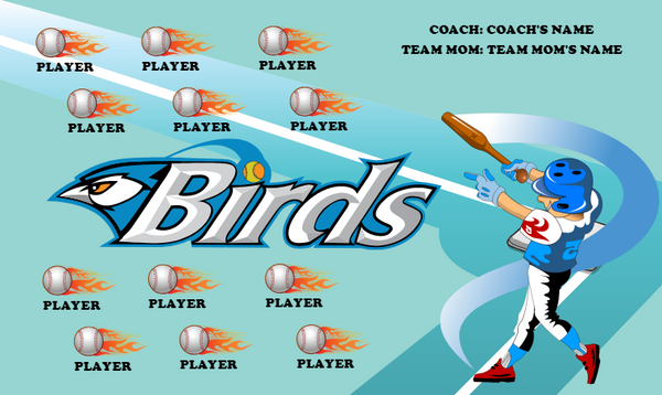 Birds - Softball Banner