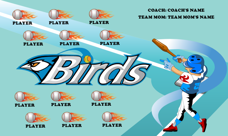 Birds - Softball Banner