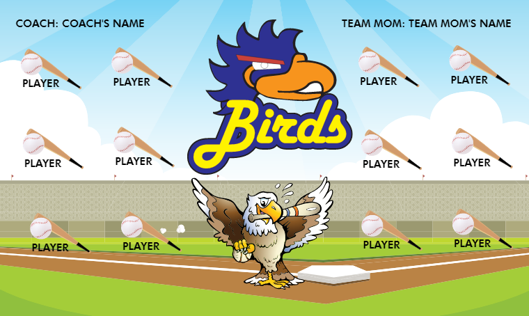 Birds 2 - Softball Banner