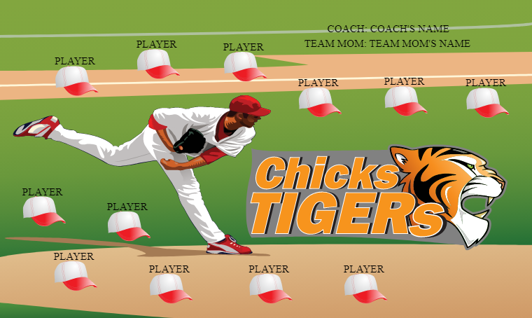 Chicks Tigers - Softball Banner