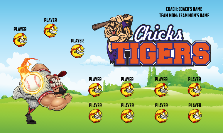 Chicks Tigers 2 - Softball Banner