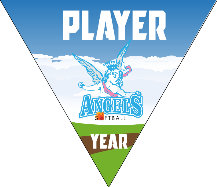 Angels - Triangle Softball Pennant