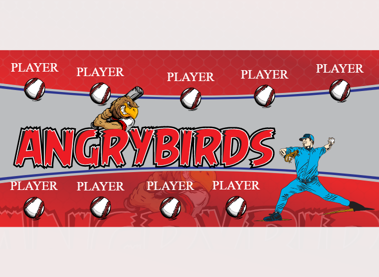 Angrybirds - Baseball - Pole Pocket Banner