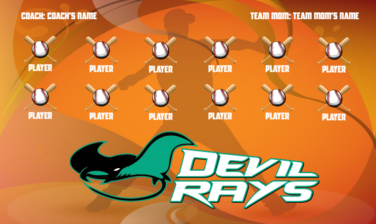 Devil Rays - Softball Banner