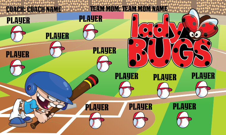 Lady Bugs - Softball Banner