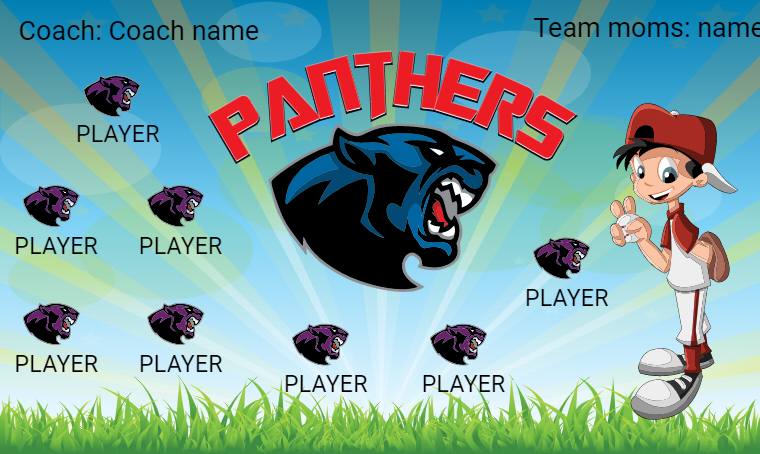 Panthers - Softball Banner