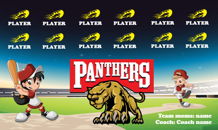 Panthers 2 - Softball Banner