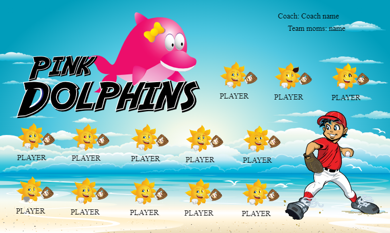 Pink Dolphins - Softball Banner