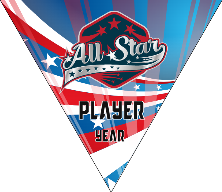 Allstar 2 - Triangle Baseball Banners