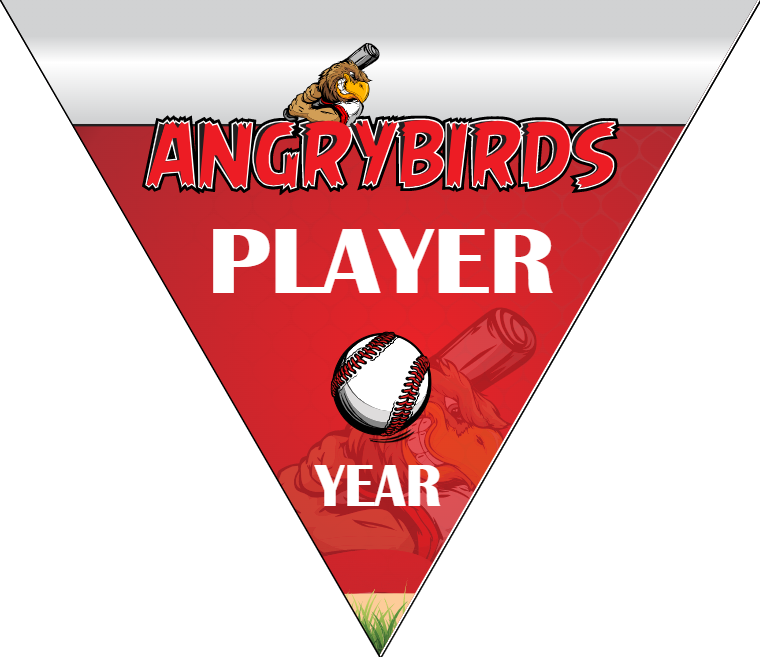 Angrybirds - Triangle Baseball Banners