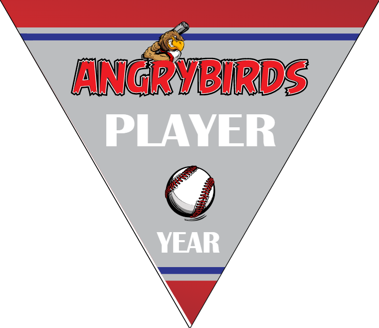 Angrybirds 2 - Triangle Baseball Banners