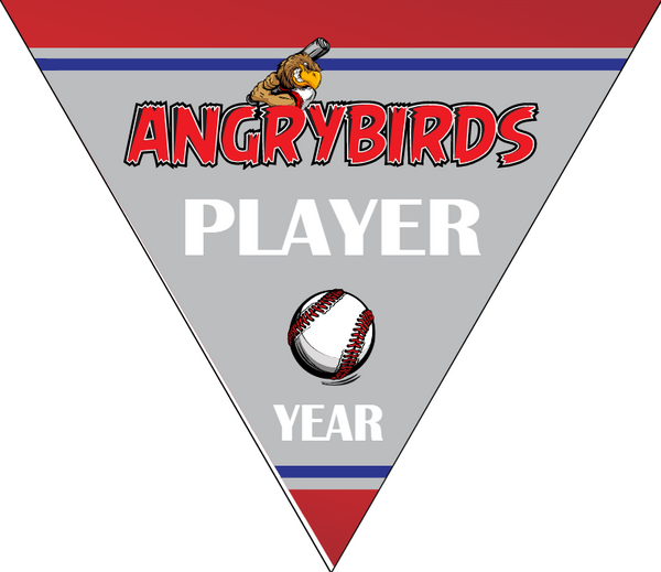 Angrybirds 2 - Triangle Baseball Banners