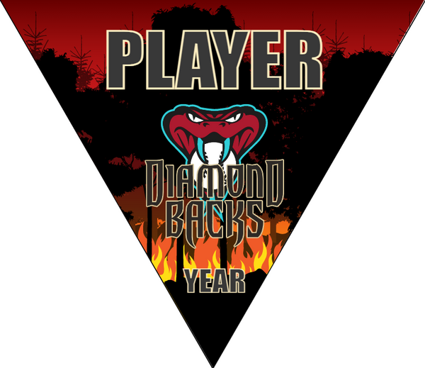 Diamondbacks 4- Triangle Baseball Banners
