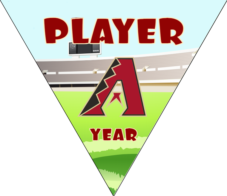 Diamondbacks 5 - Triangle Baseball Banners