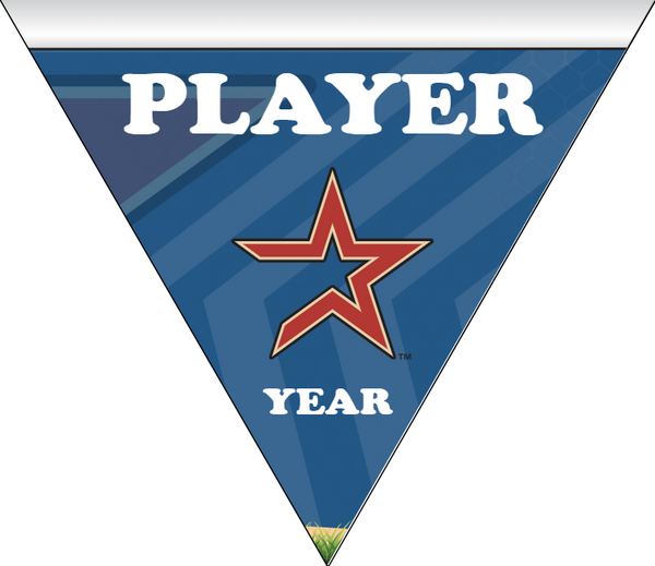 Astros - Triangle Baseball Banners