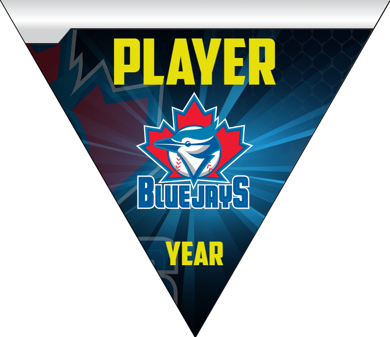 Blue Jays - Triangle Baseball Banners