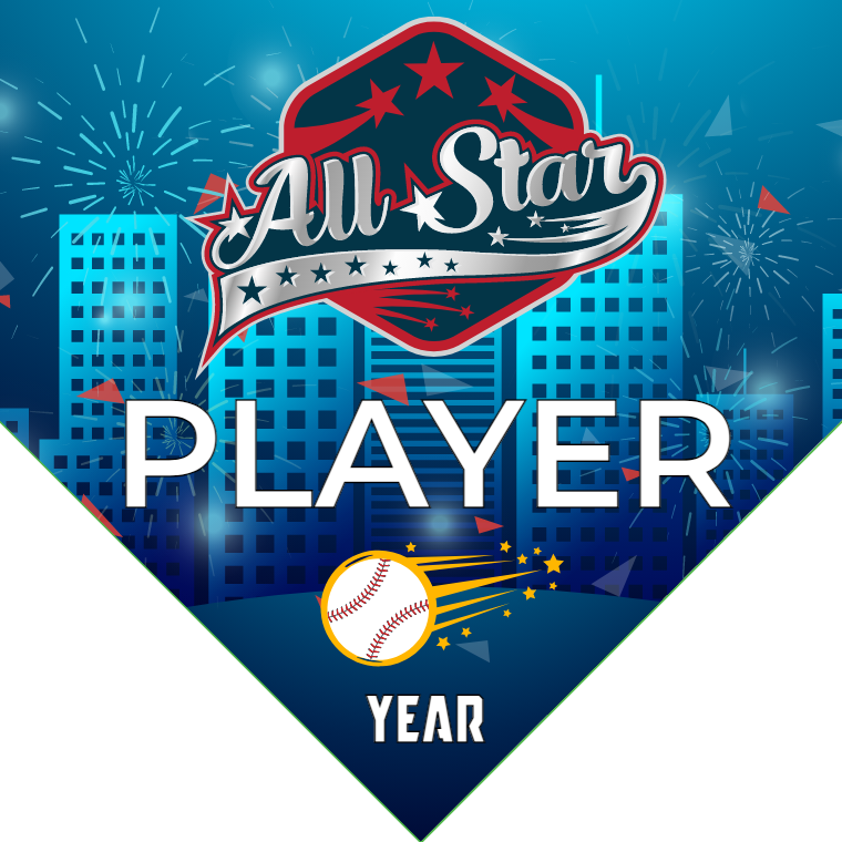 All Star 4 - Home Baseball Banners