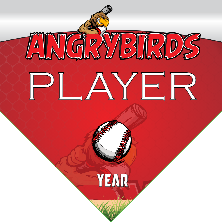 Angrybirds - Home Baseball Banners