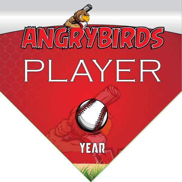 Angrybirds - Home Baseball Banners