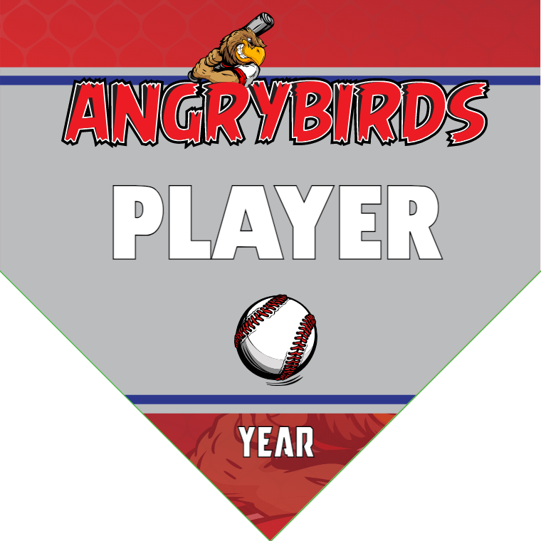 Angrybirds 2 - Home Baseball Banners