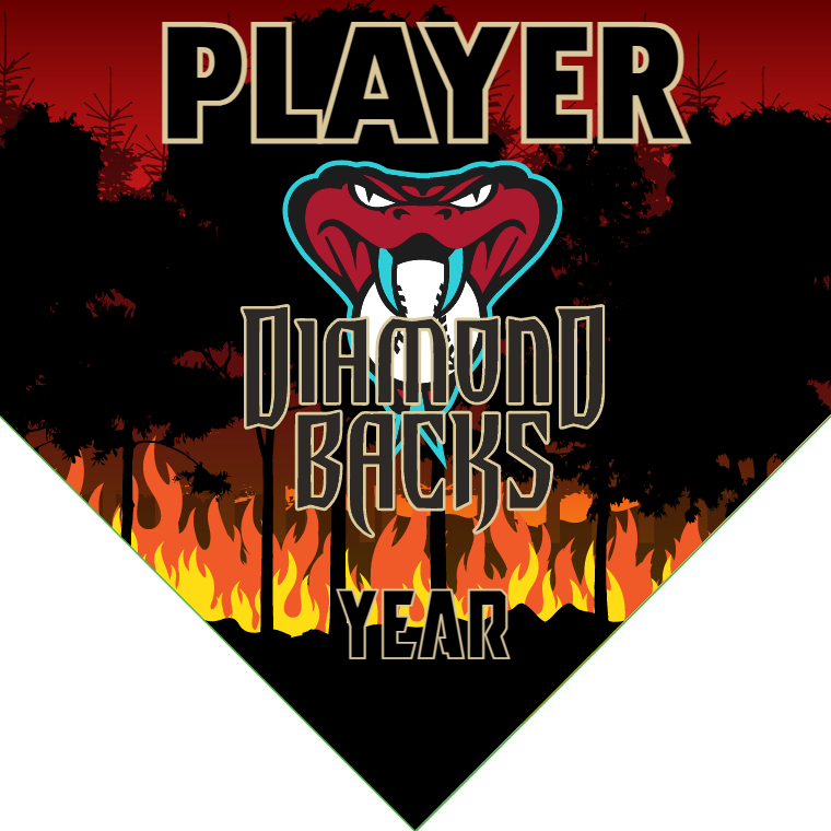 Diamond Backs 4 - Home Baseball Banners