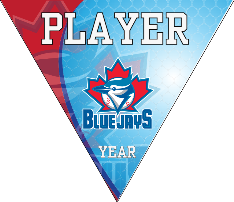 Blue Jays 2 - Triangle Baseball Banners