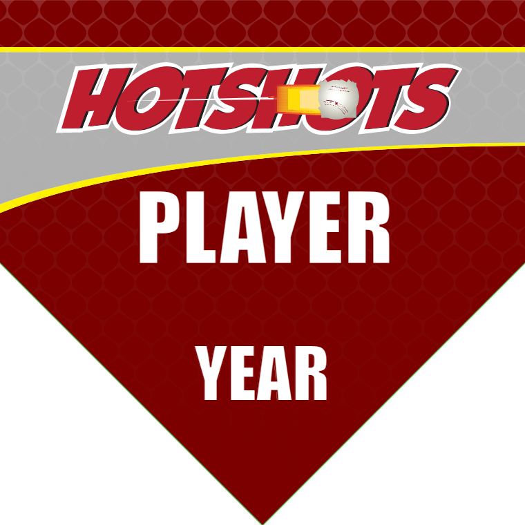 Hotshots - Home Baseball Banners