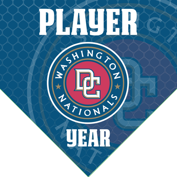 Washington DC - Home Baseball Banners