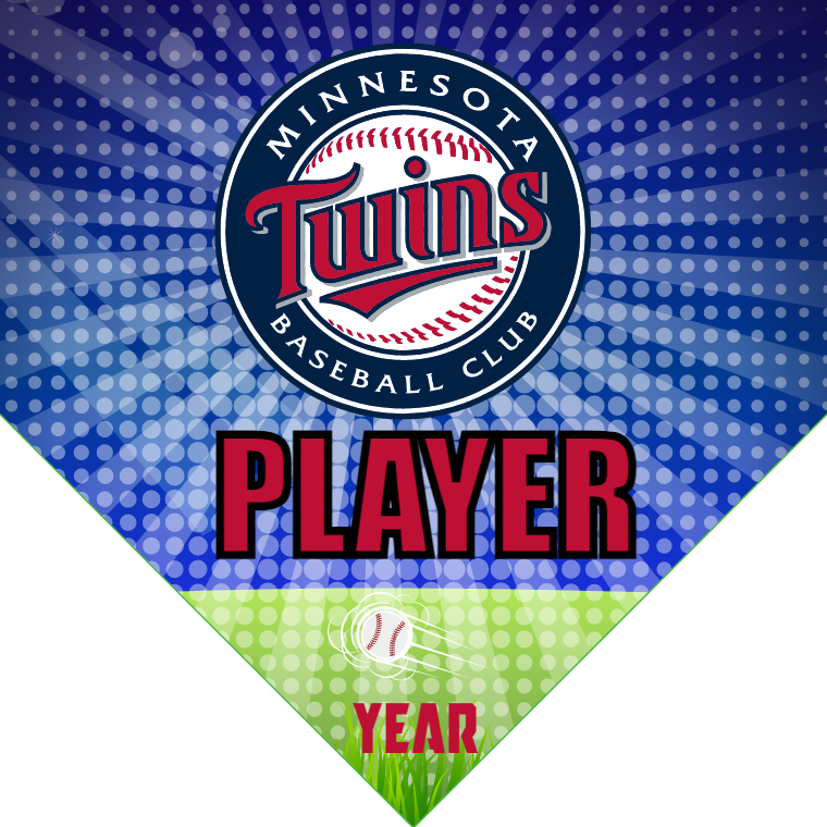 Twins 5 - Home Baseball Banners