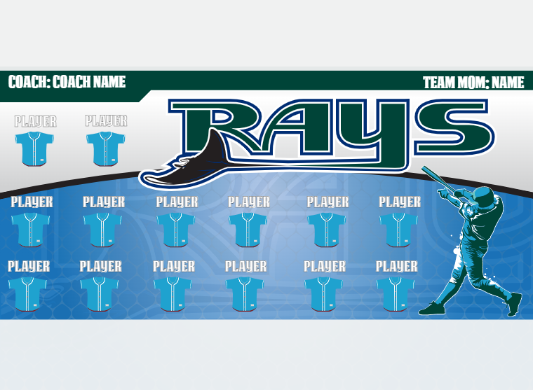 Rays - Baseball - Pole Pocket Banner