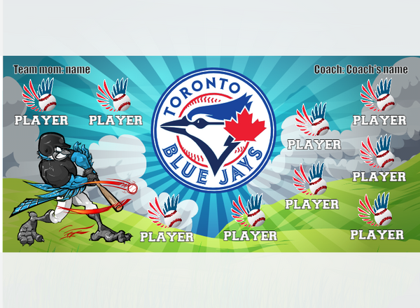 Toronto 2 - Baseball - Pole Pocket Banner