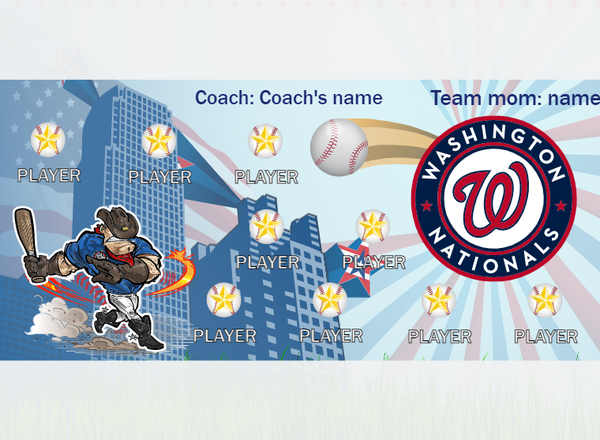 Washington 2 - Baseball - Pole Pocket Banner