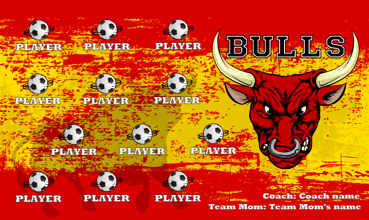 Bulls - Soccer Banner