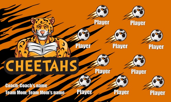 Cheetahs 2 - Soccer Banner