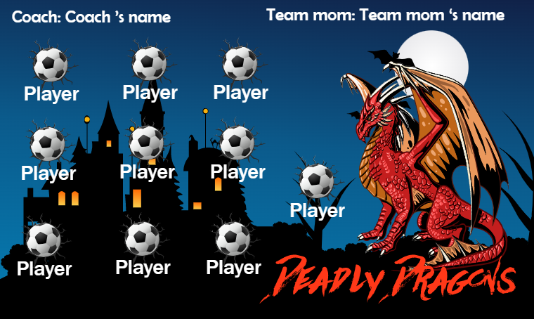 Deadly Dragons - Soccer Banner