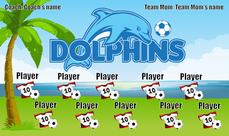 Dolphins 3 - Soccer Banner